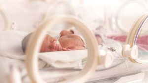 Dia da Prematuridade: riscos e prevenção do parto prematuro